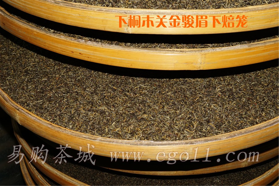 采茶工接近一天采的下桐木关金骏眉茶芽