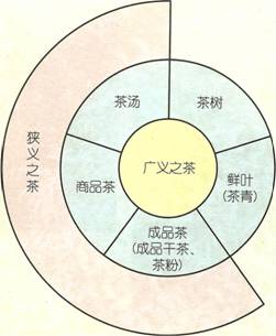 茶的定义与图解
