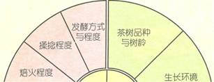 茶的分类方法图示一