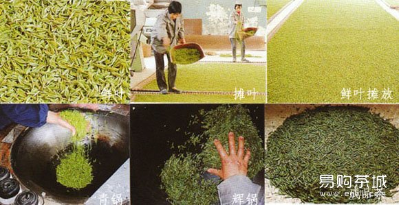 点击查看源网页 蒙顶山绿茶团饼制作工艺流程图