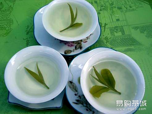 点击查看源网页 政和白茶
