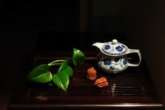 青海问茶